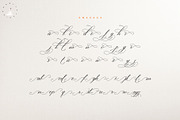Night Weight Script, a Script Font by Nowlystudios (Thumbnail 9 of 9)