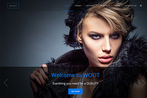 Woot-Multipurpose Responsive WPTheme