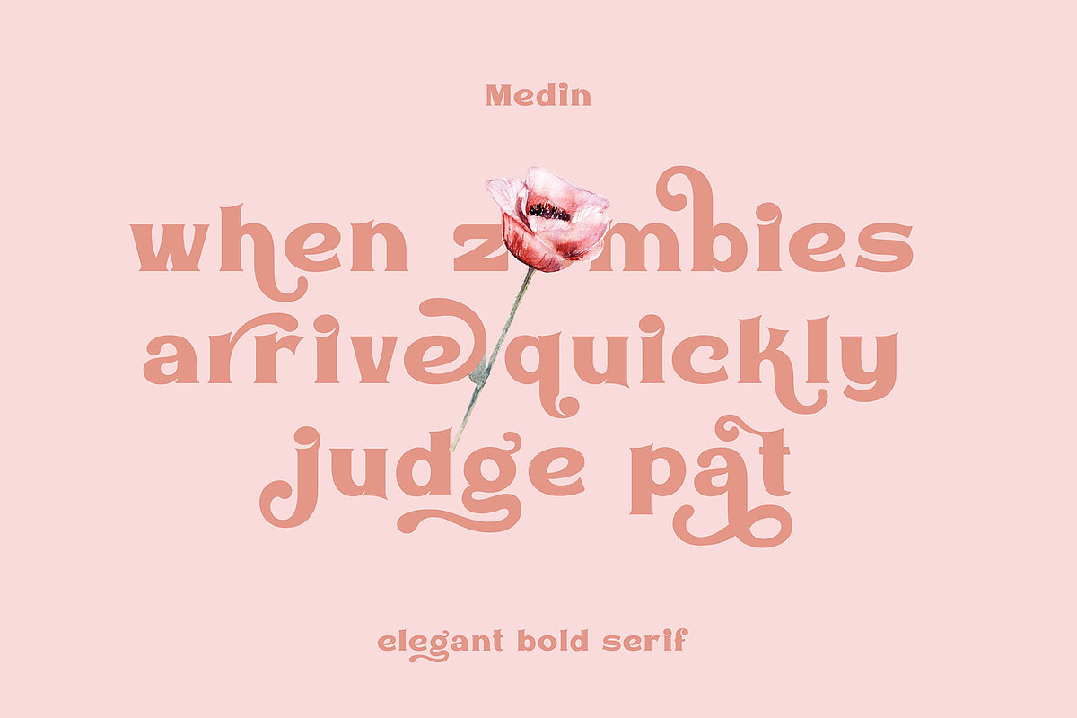 VT Medin - Elegant Bold Serif, a Serif Font by ViactionType (Photo 6 of 13)