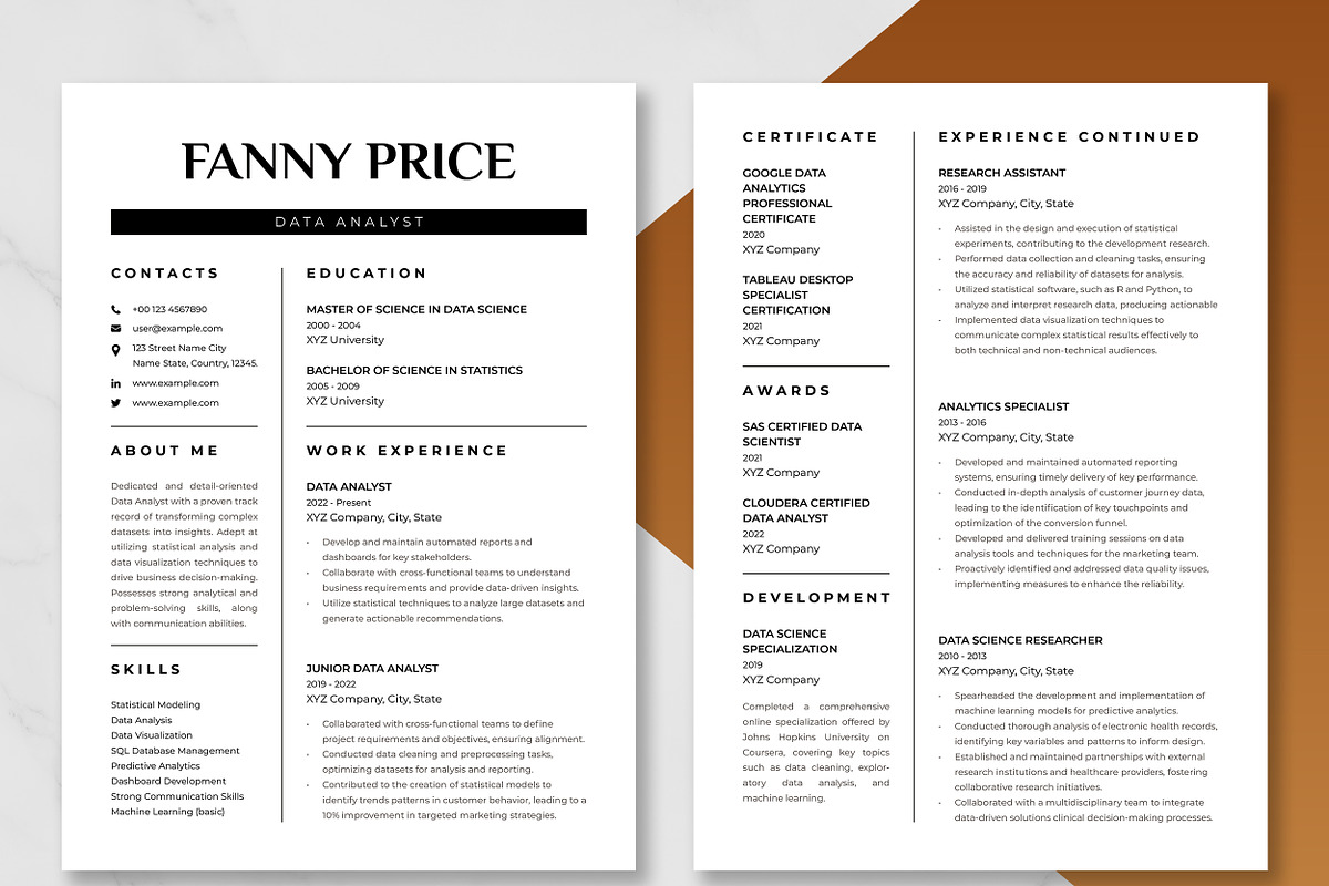 Data Analyst Resume Template preview 3