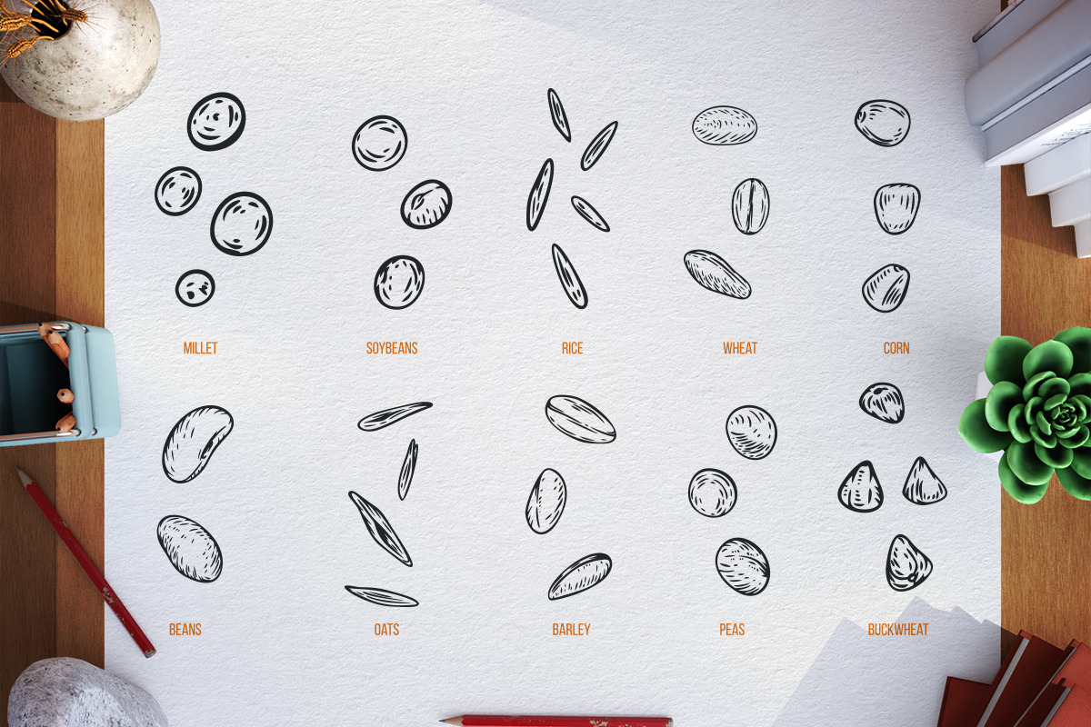Agriculture plants, a Food Illustration by CGterminal (Photo 5 of 5)