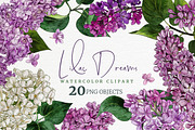 Lilac. Floral watercolor clipart, an Object Graphic by JSolomatina (Thumbnail 1 of 5)