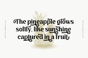 Amberglen - Modern Serif Font, a Serif Font by Wacaksara Co. (Thumbnail 5 of 10)
