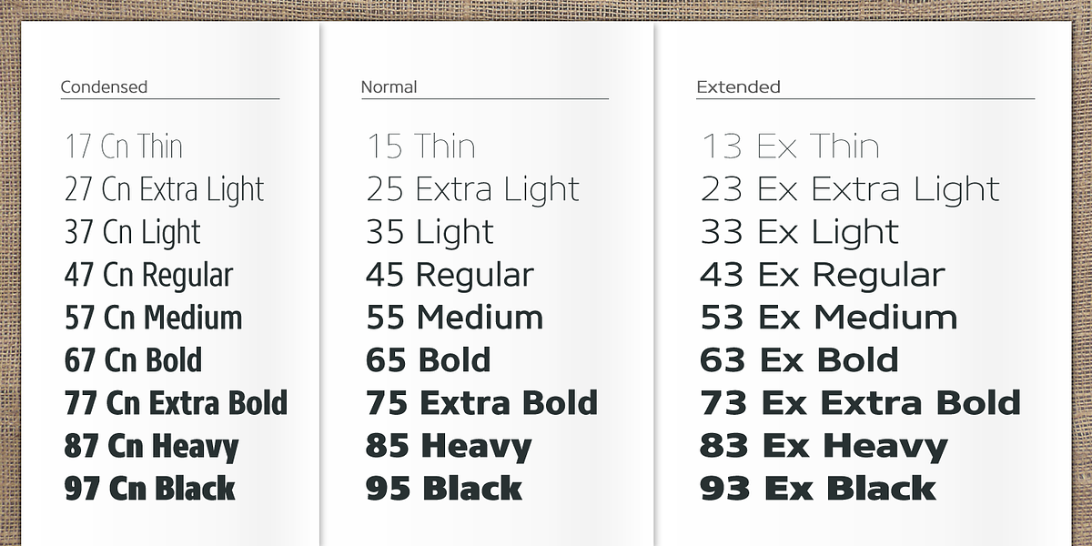 Core Sans N, a Sans Serif Font by S-Core (Photo 3 of 6)