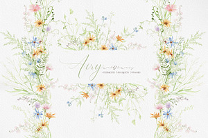 Watercolor AIRY WILDFLOWER Clipart, a Decorative Illustration by Beigetime