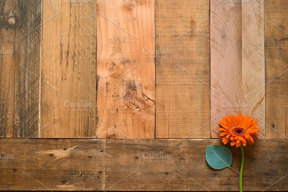 Rustic Flower Photo Set On Wood, a Books & Magazine Mockup by Kudzu Camera (Photo 3 of 6)