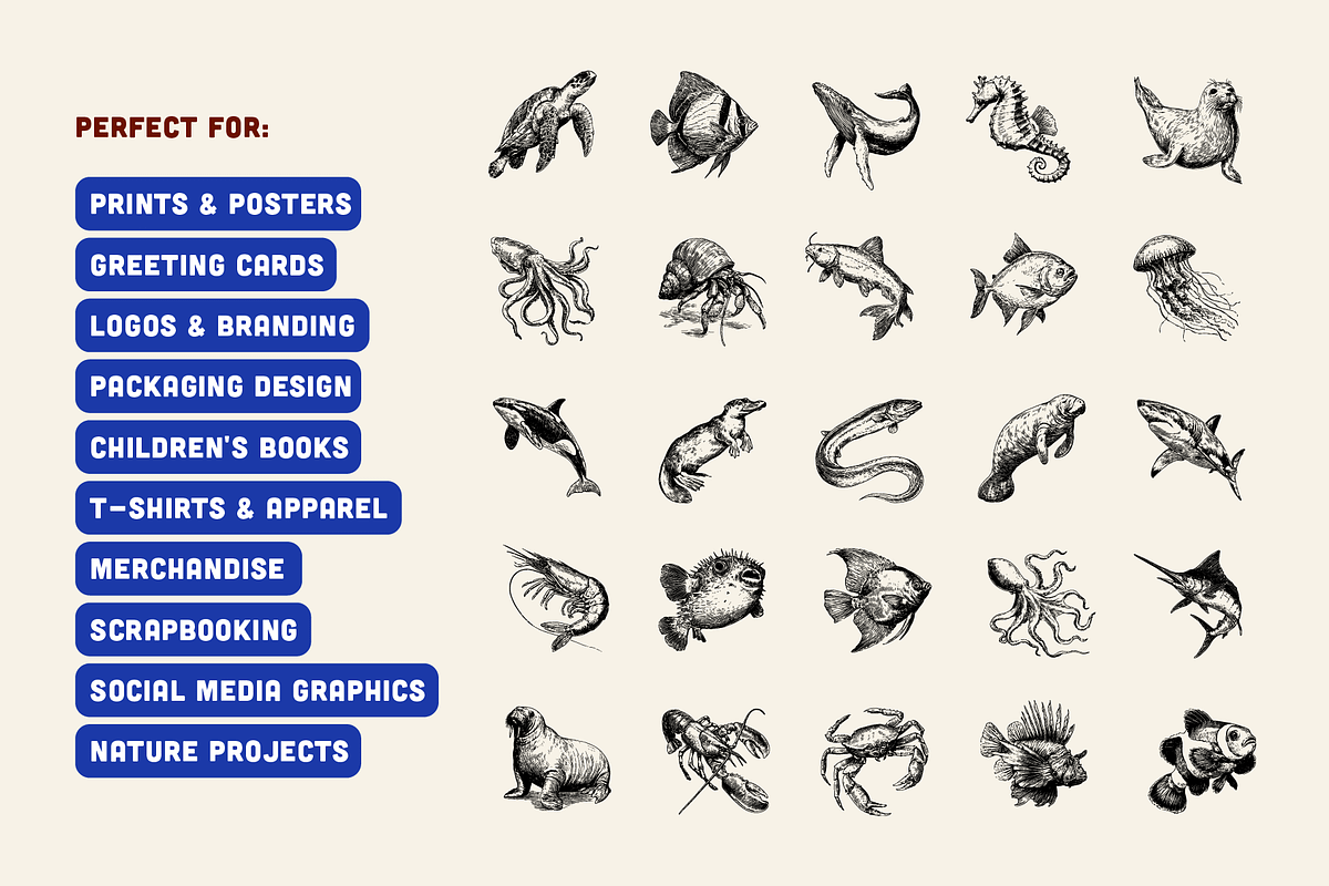 25 Marine Animal Illustrations, an Animal Illustration by Vectorian (Photo 5 of 5)