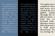 Cadera Serif | 162 Font Files, a Serif Font by Ws Studio (Thumbnail 12 of 12)