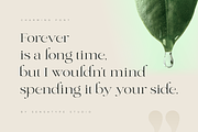Charming - Classy & Decorative Font, a Serif Font by Sensatype (Thumbnail 9 of 21)