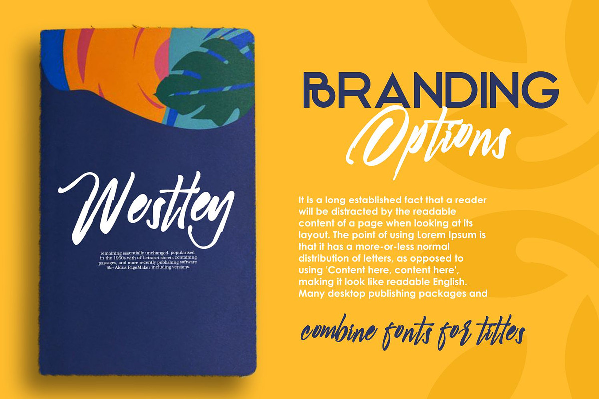 Rio de Janeiro Script Brush Font, a Script Font by WhymoreArt (Photo 3 of 10)