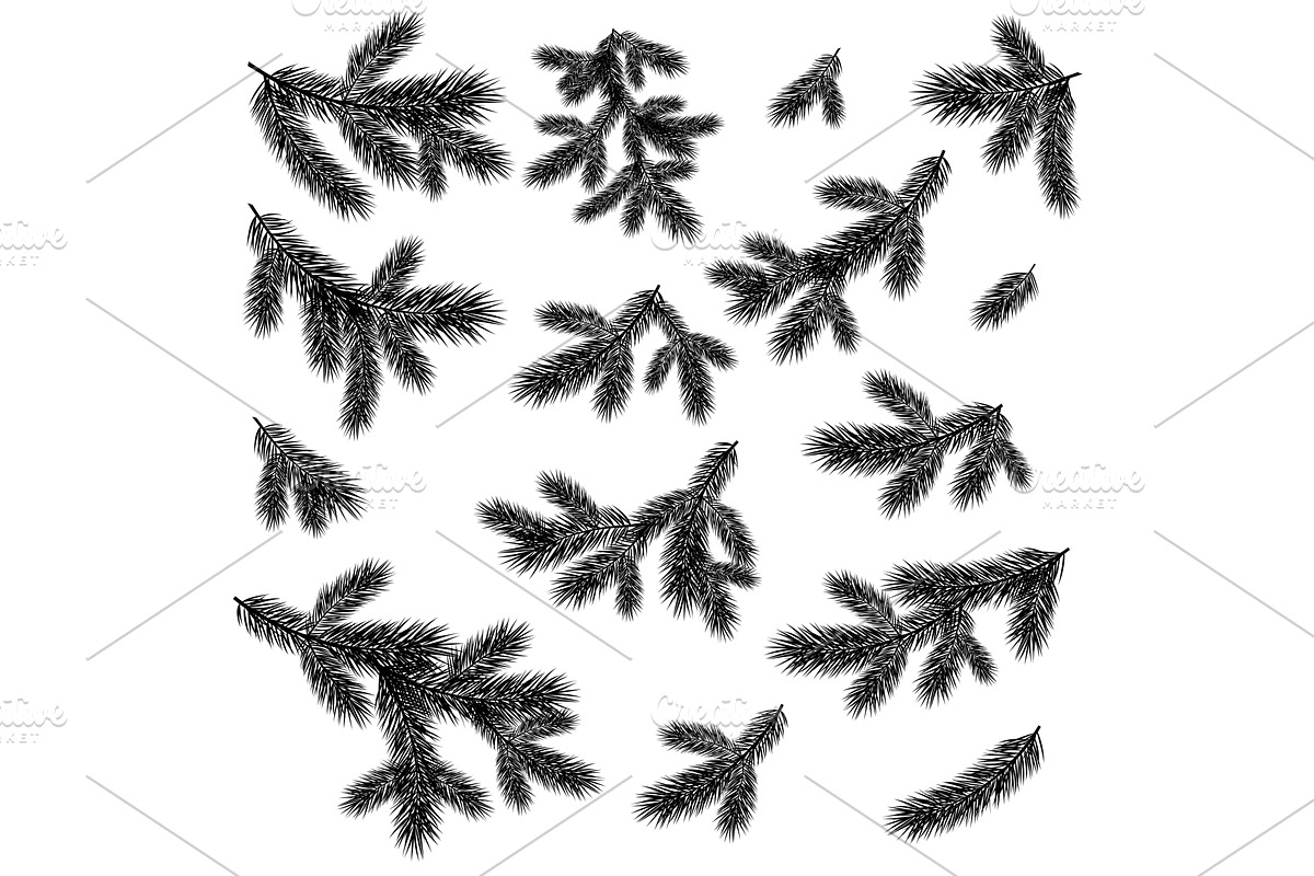 Christmas spruce tree branches black, an Object Graphic by Ok-sana