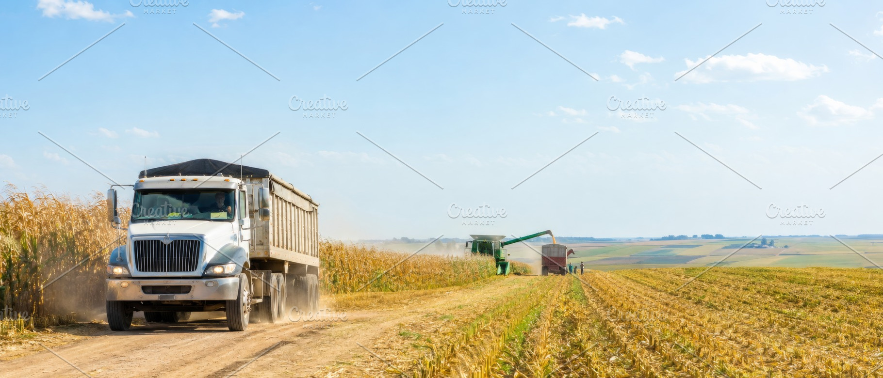 Farming vehicles harvesting corn in, a Photo by Dvoevnore photos