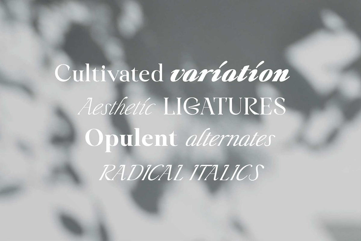 Liliane Classe Serif Font Family, a Serif Font by Ryul Davidson (Photo 2 of 21)