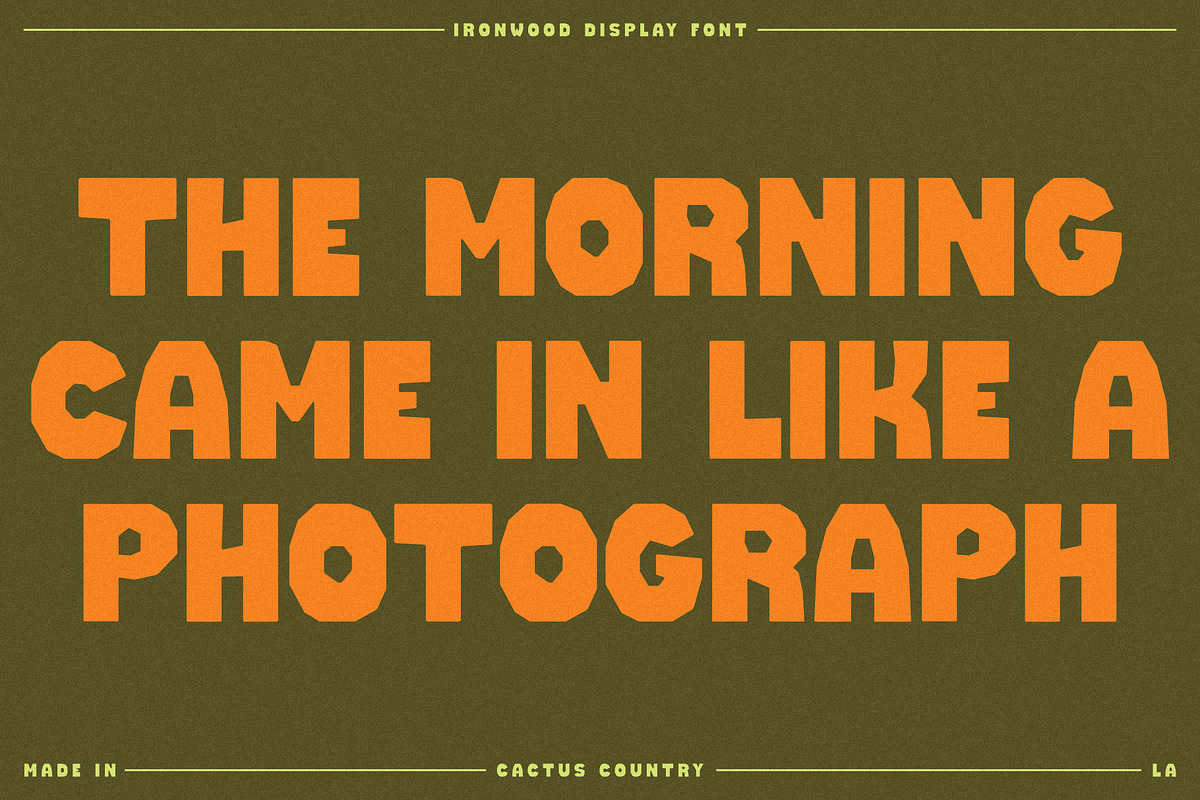 Ironwood Display Font, a Serif Font by Cactus Country (Photo 4 of 5)