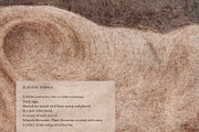 Vestige · Organic Backgrounds, a Background Graphic by alonahaidash (Thumbnail 11 of 14)