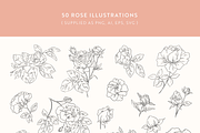 Rose Garden Vector Illustrations, an Illustration by Emma Webb Studio (Thumbnail 4 of 8)