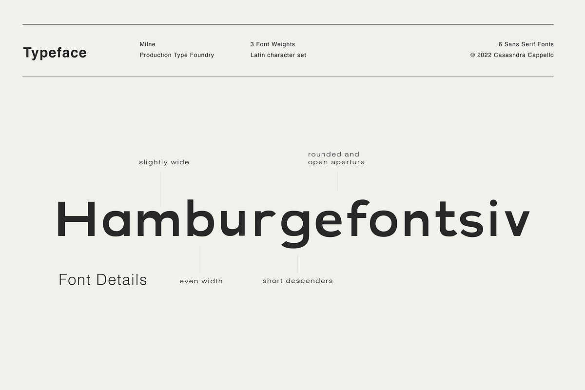 Milne - A Bold Sans Serif, a Sans Serif Font by Cassandra Cappello (Photo 6 of 11)