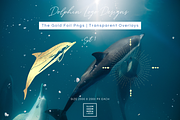 Dolphin Logo Vectors & Foil Overlays, a Branding & Logo Template by Illumineer Media & Design (Thumbnail 5 of 9)