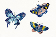 Butterfly Clipart Set, an Animal Illustration by Anna Ivanir (Thumbnail 3 of 5)