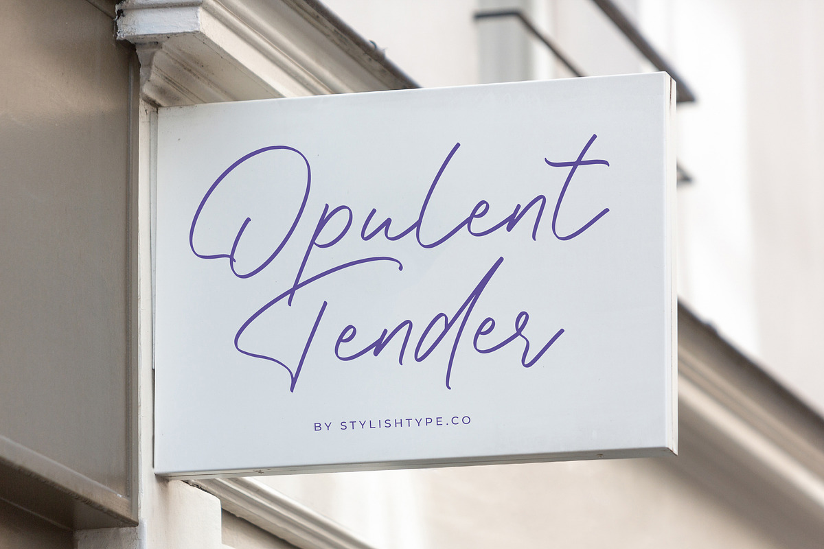 Gafisha Lindiaki Stylish Handwritten, a Script Font by stylishtype.co (Photo 7 of 19)