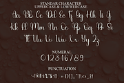 Sublimation, a Handwritten Font by FreshTypeINK (Thumbnail 3 of 8)