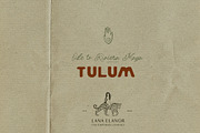 TULUM Textures & Brand design kit, an Object Graphic by Lana Elanor (Thumbnail 16 of 16)