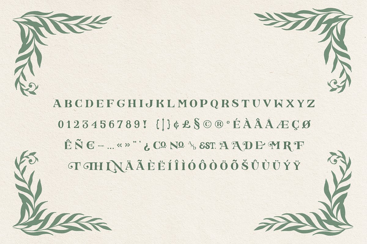Falconette Font, a Font by Antiquaria (Photo 6 of 7)