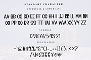 Sunday Vintage, a Sans Serif Font by FreshTypeINK (Thumbnail 4 of 7)