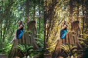 Magical Woods 10 Lightroom presets, an Action Add-On by Graphics, Presets, Photos (Thumbnail 6 of 9)