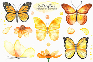 Butterflies Watercolor Collection