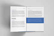 White paper template indesign, a Brochure Template by azadcsstune (Thumbnail 12 of 18)