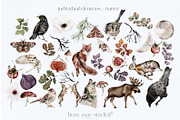 Forest Illustrations Mystic Autumn, an Animal Illustration by Busy May Studio (Thumbnail 11 of 20)