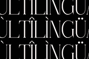 Thorco New Display Serif Font, a Serif Font by Storytype Studio (Thumbnail 14 of 15)