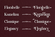 Lovely Paradise - Decorative Serif, a Serif Font by Font Liner (Thumbnail 14 of 15)