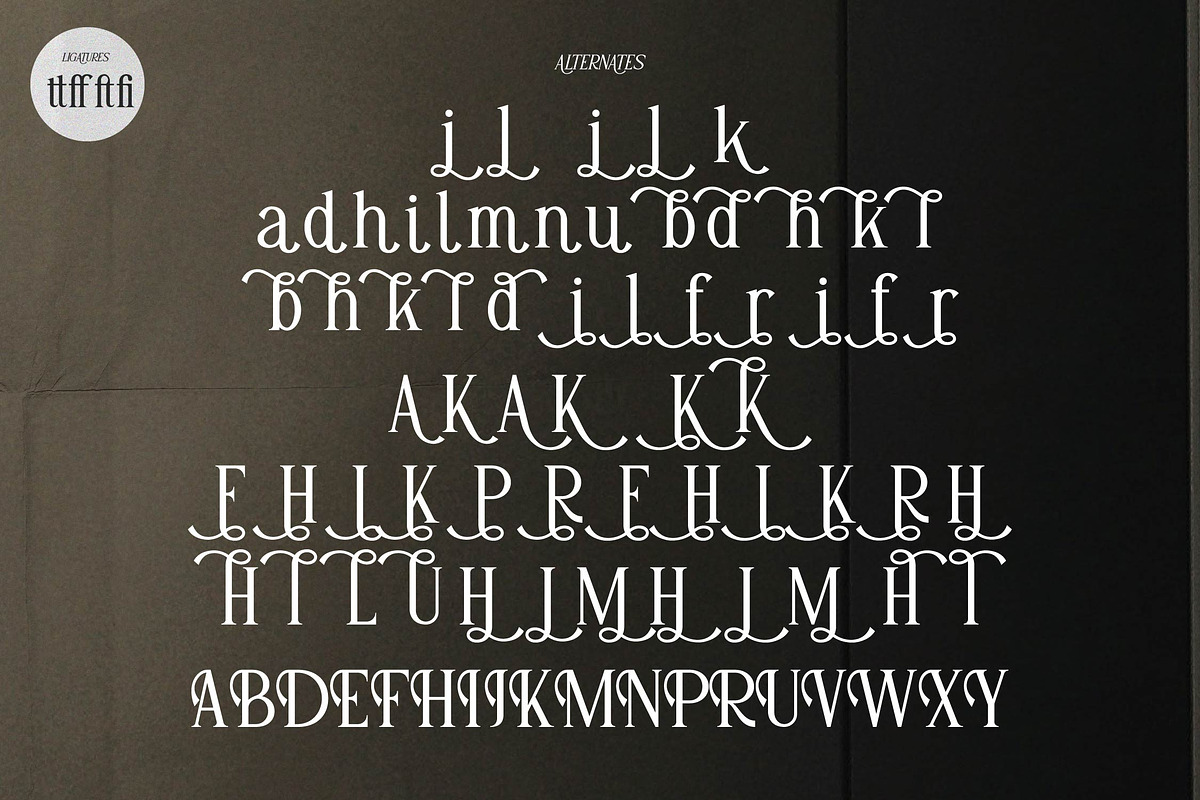 Adigul | Modern Serif, a Serif Font by Denustudios (Photo 12 of 13)
