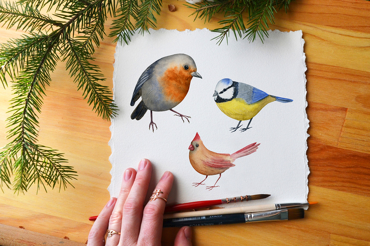 Birds Watercolor Clipart, an Animal Illustration by WatercolorWind (Photo 3 of 3)