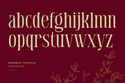 Prodhia | Modern Serif Font, a Serif Font by Masyafi Studio (Thumbnail 3 of 8)