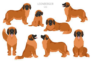 Leonberger Clipart