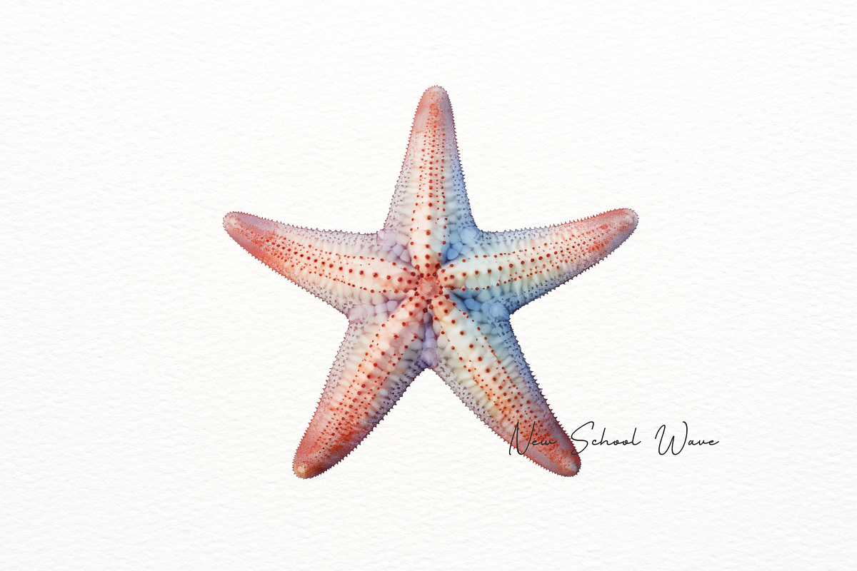 Realistic Starfish and Shell Clipart, an Animal Illustration by New-School-Wave (Photo 4 of 5)
