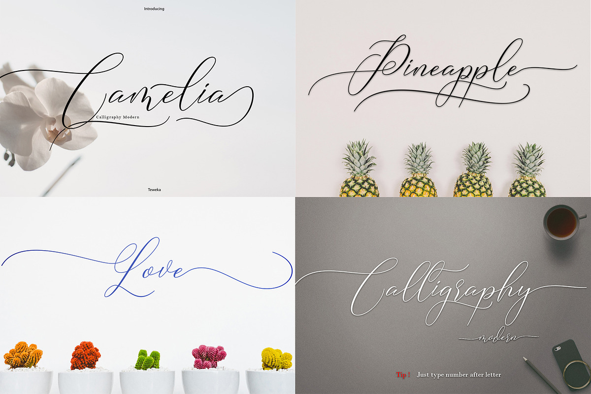 Best Seller Font Bundles preview 5