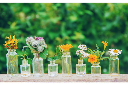 extracts of herbs in small bottles, a Health & Medical Photo by yanadjana