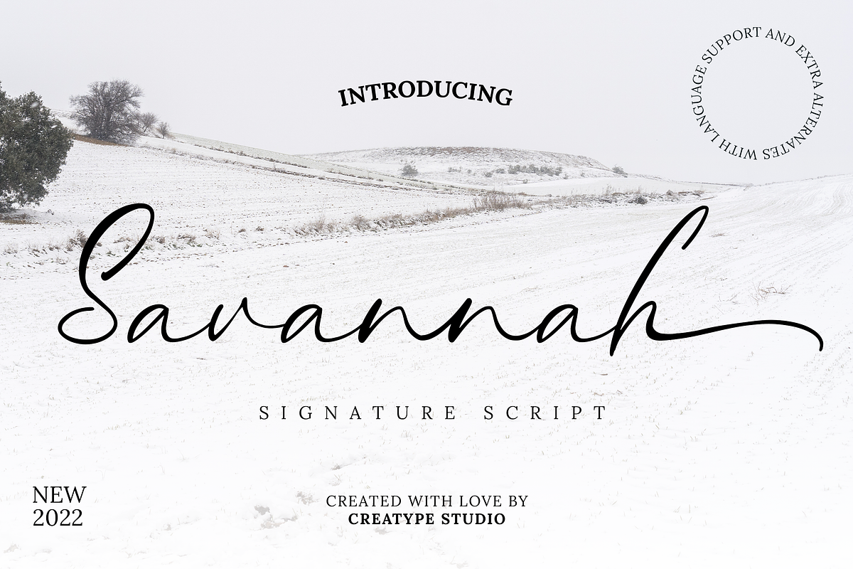 Savannah Signature Script, a Script Font by Creatype Studio (Photo 1 of 9)