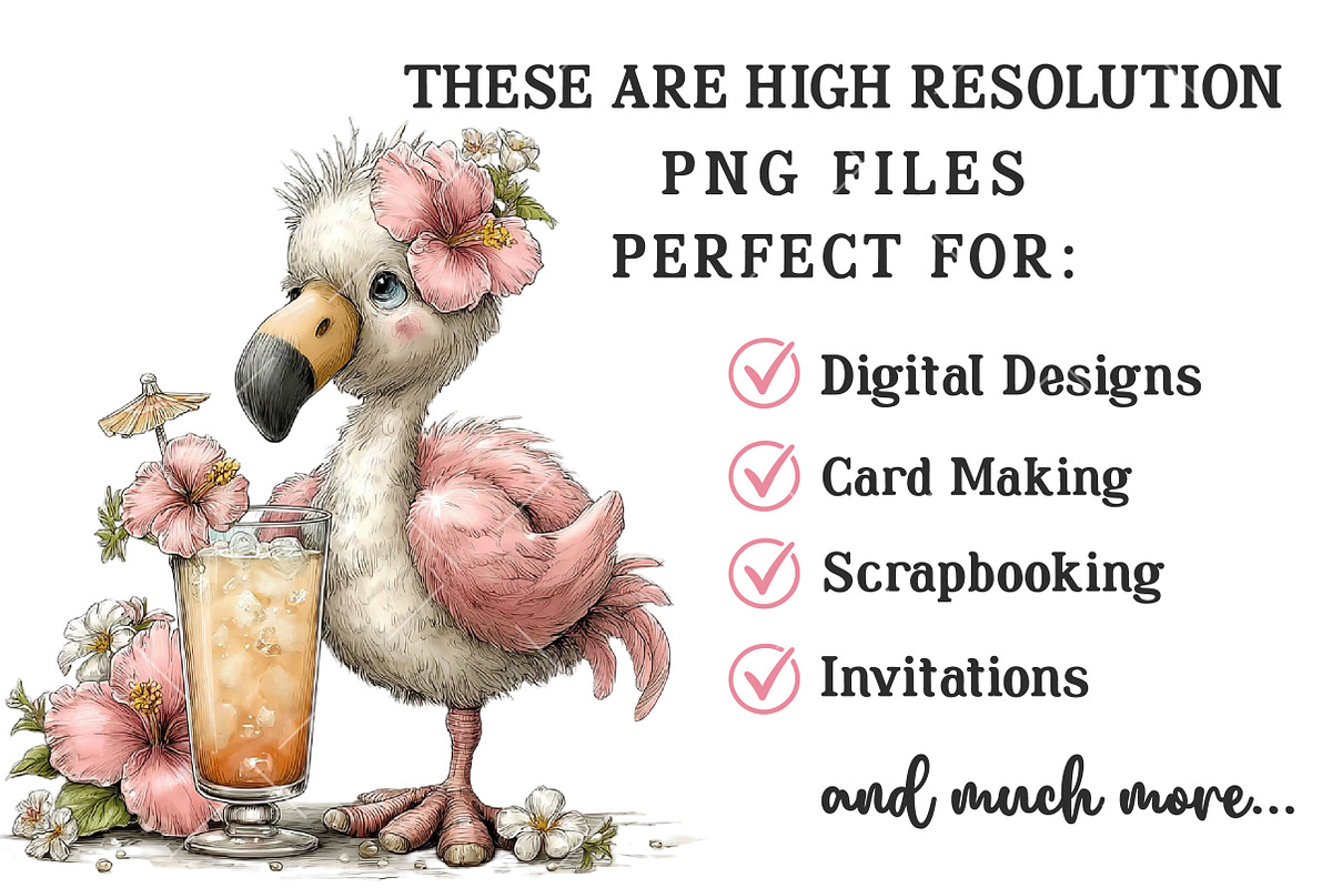 Whimsical Summer Tropical Birds Clip, an Illustration by OK Design (Photo 4 of 6)