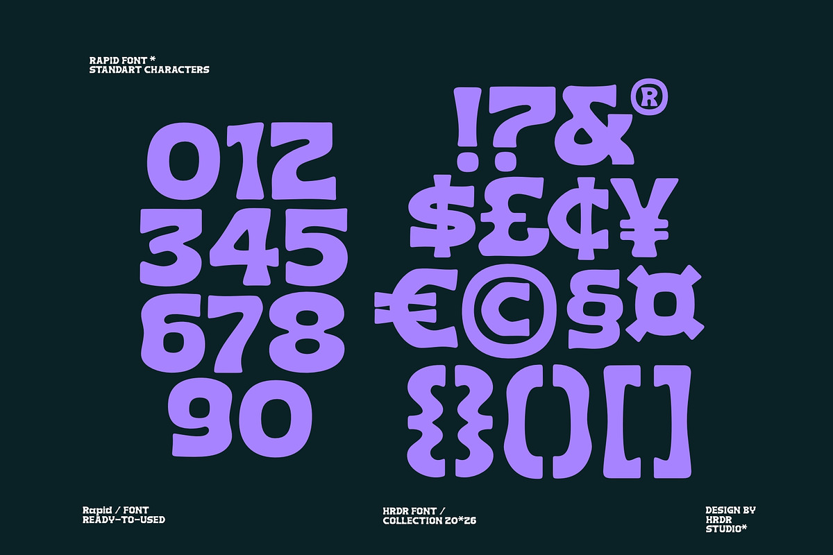 Rapid ( New Font ), a Serif Font by HRDR (Photo 10 of 11)