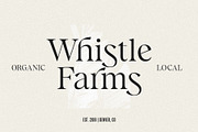 Kyrie: A Luxe Calligraphic Serif, a Serif Font by Jen Wagner Co (Thumbnail 3 of 13)