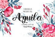 Aquila -Script font, a Script Font by Charushella (Thumbnail 1 of 2)