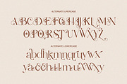 Sassy Born - Modern Elegant Font, a Serif Font by Qweera Studio (Thumbnail 10 of 12)