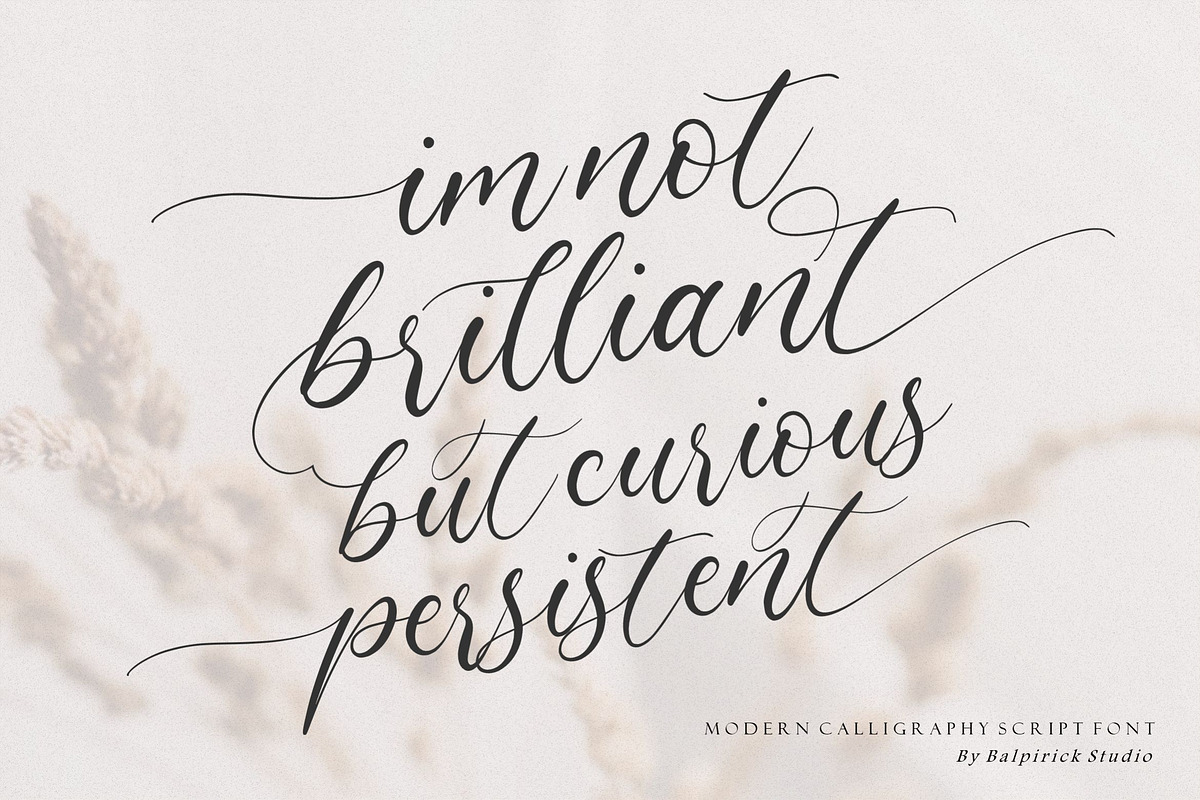 Claytona - Modern Calligraphy Script, a Script Font by Balpirick Studio (Photo 5 of 7)