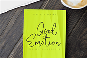 Cisse - Signature Script Font, a Script Font by Epiclinez (Thumbnail 4 of 5)