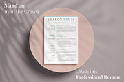 Professional Resume Format Example, a Resume Template by HIRED Design Studio (Thumbnail 17 of 18)